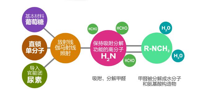 GRAFTON專業(yè)甲醛分解劑（瓶裝進(jìn)口）