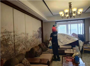 寶雞市尚浦錦園甲醛治理案例